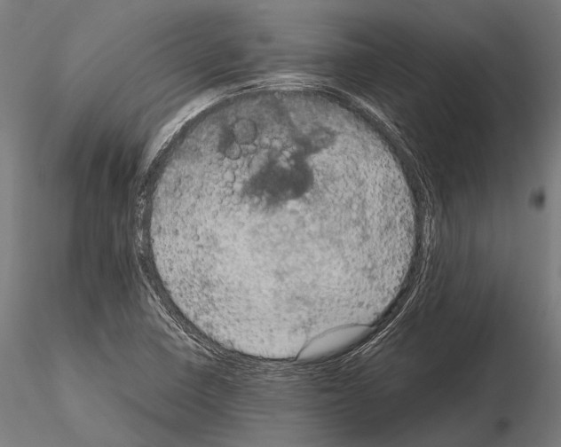 X0000115191410200912091100