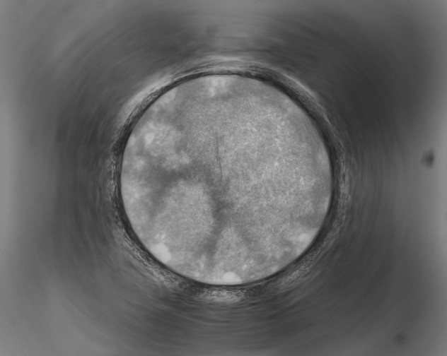 X0000115191411200912091100