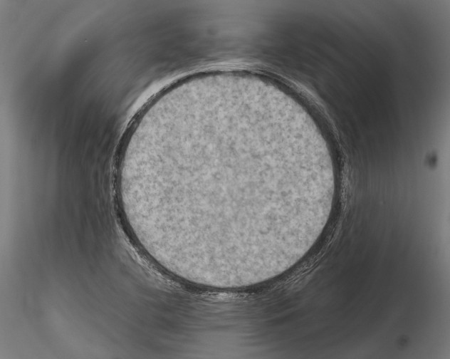 X0000115191412200912091100