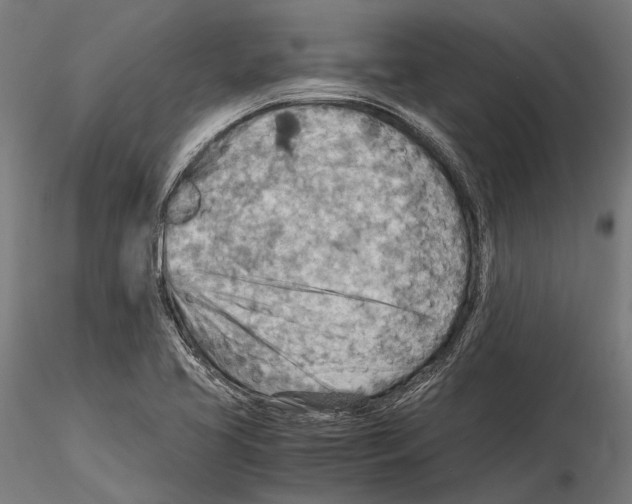 X0000115191413200912091100