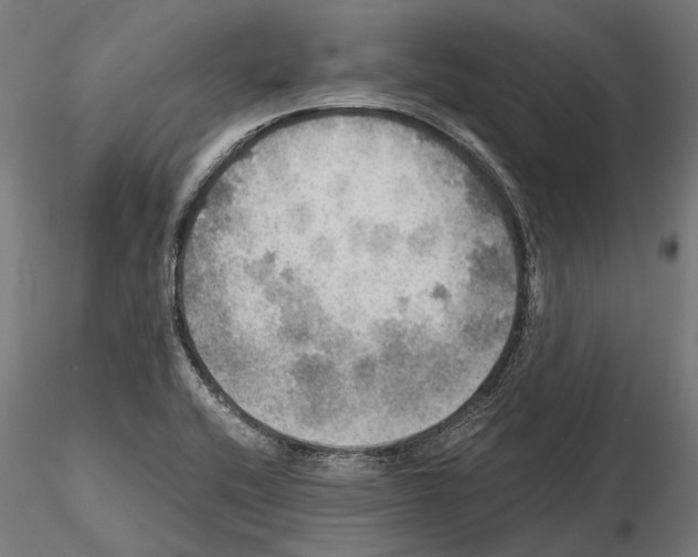 X0000115191416200912091100