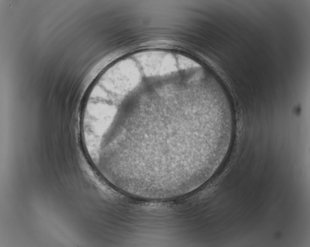 X0000115191418200912091100