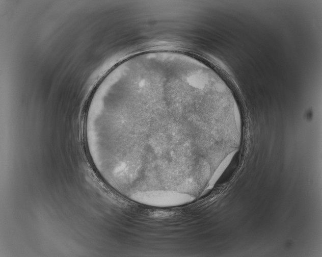 X0000115191419200912091100