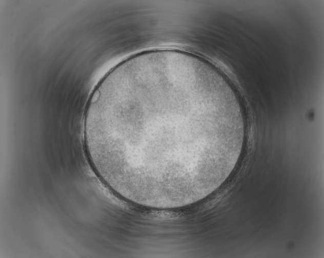 X0000115191420200912091100