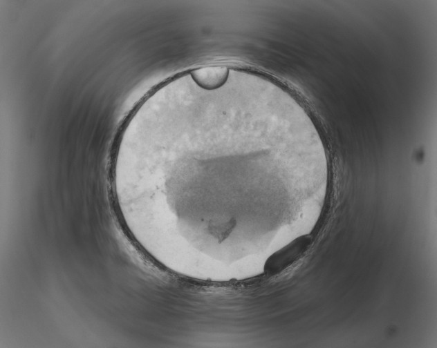 X0000115191422200912091100