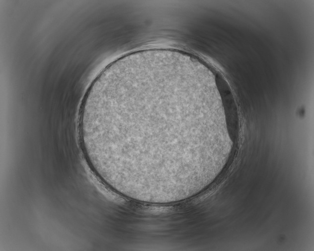 X0000115191423200912091100