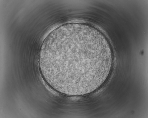 X0000115191425200912091100