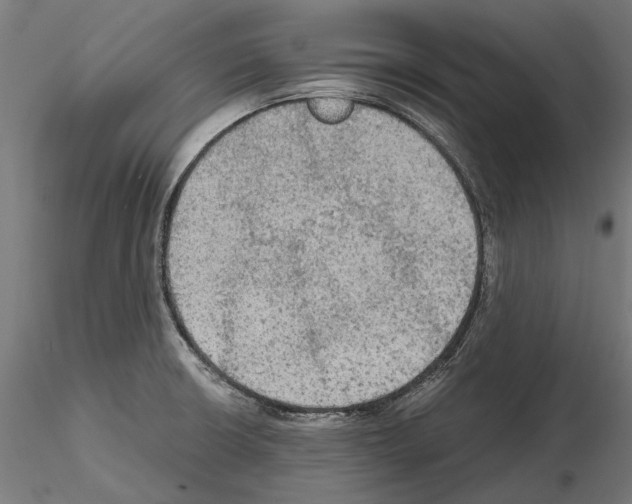 X0000115191426200912091100