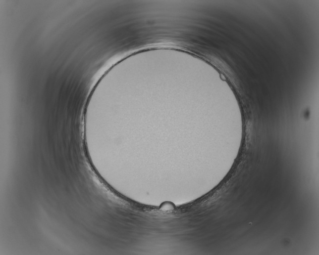 X0000115191428200912091100