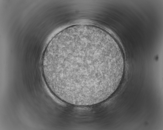 X0000115191429200912091100