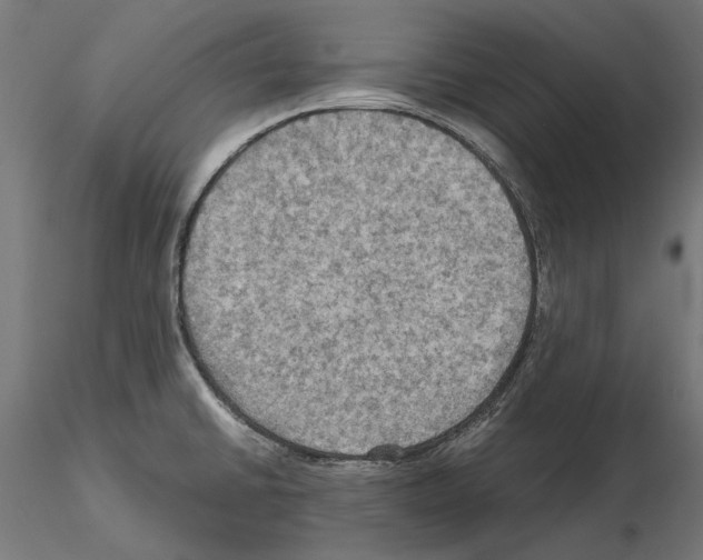 X0000115191430200912091100