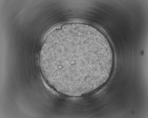 X0000115191433200912091100