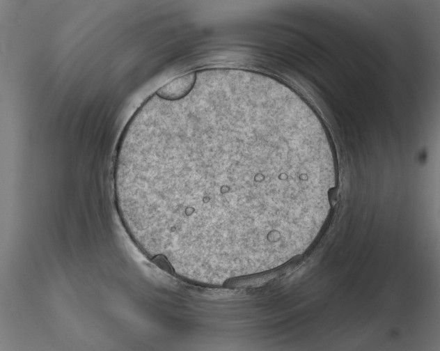 X0000115191434200912091100