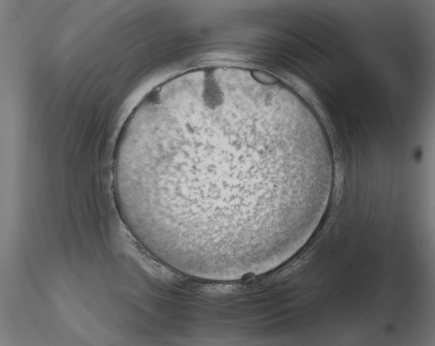 X0000115191435200912091100