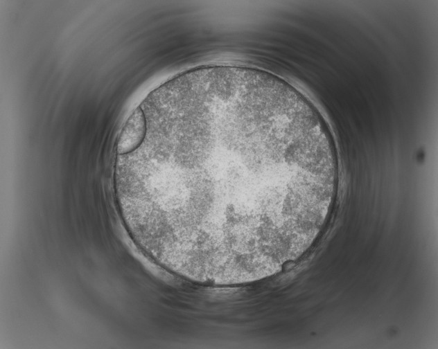 X0000115191437200912091100