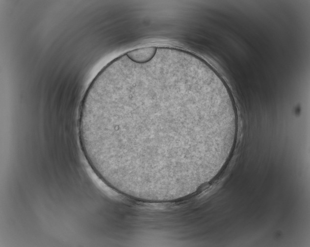 X0000115191438200912091100