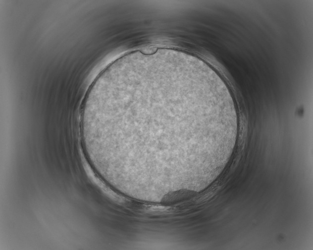 X0000115191439200912091100