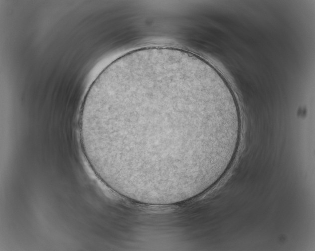 X0000115191440200912091100