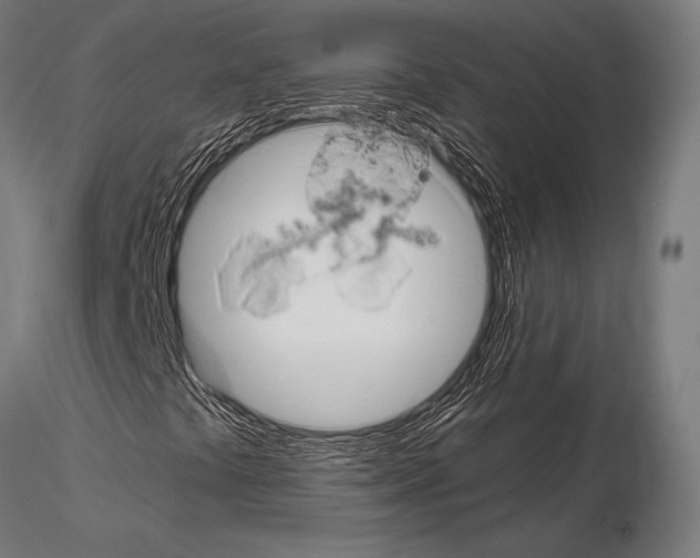 X0000115191441200912091059