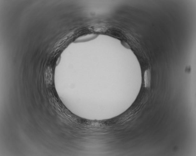 X0000115191443200912091059