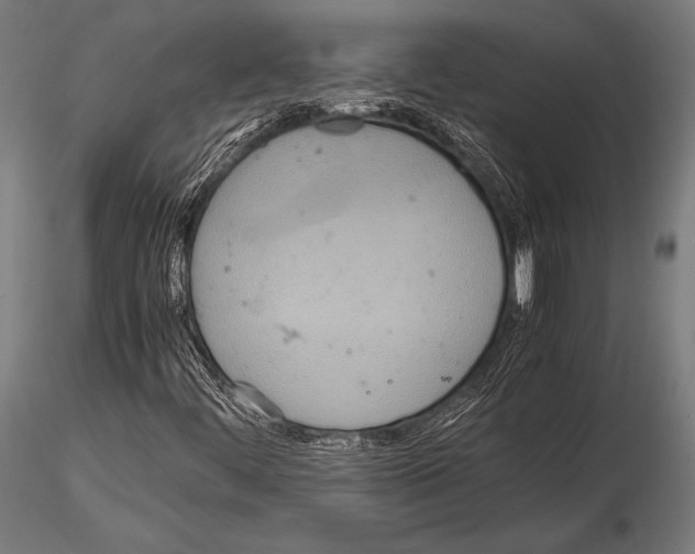 X0000115191444200912091059