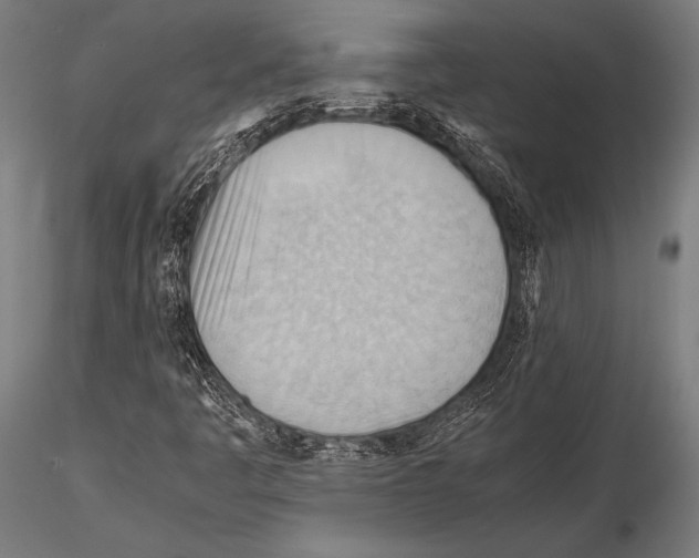 X0000115191445200912091059