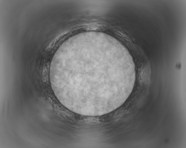 X0000115191446200912091059