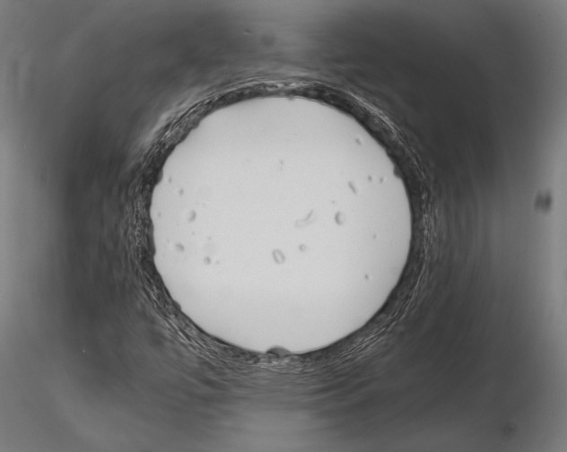 X0000115191447200912091059