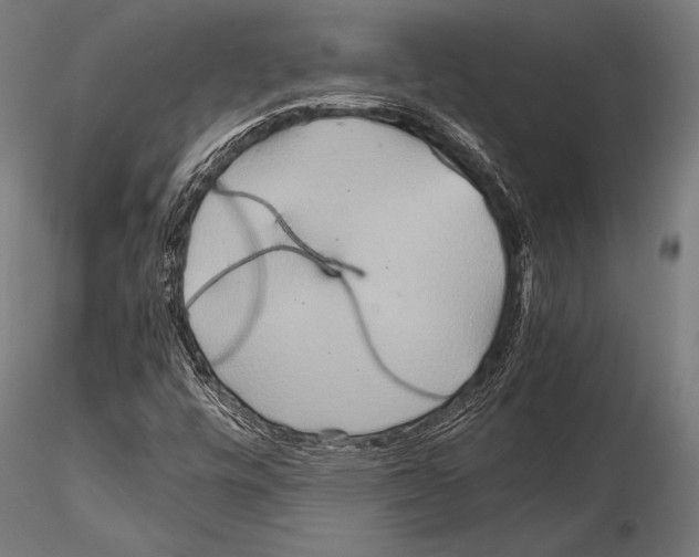 X0000115191448200912091059