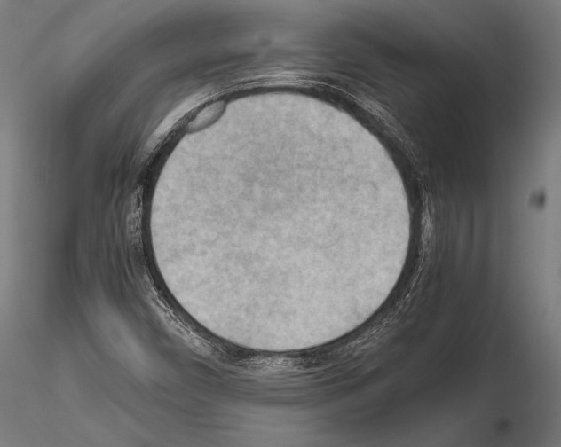 X0000115191450200912091059