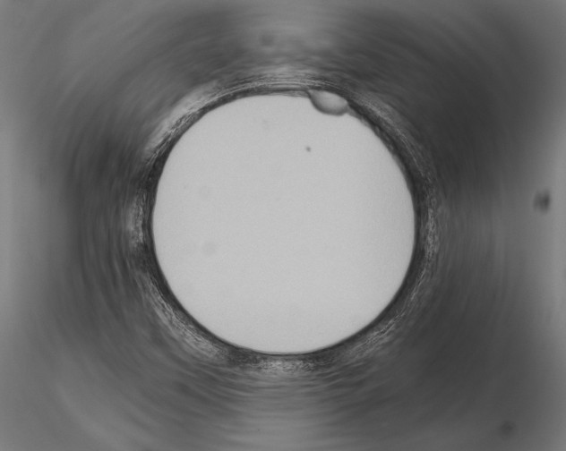 X0000115191451200912091059