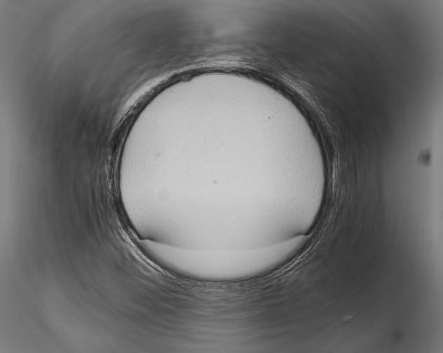 X0000115191452200912091059