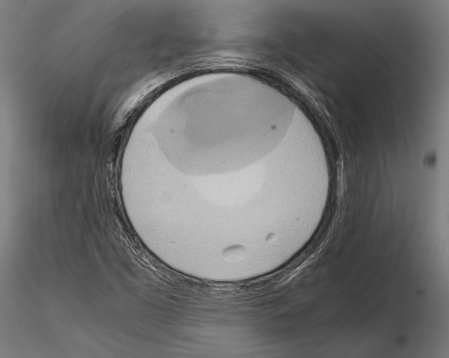 X0000115191453200912091059