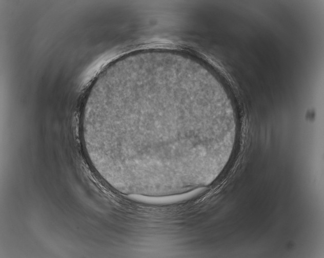 X0000115191455200912091059