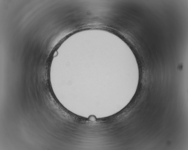 X0000115191458200912091059