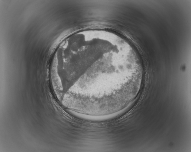 X0000115191459200912091059