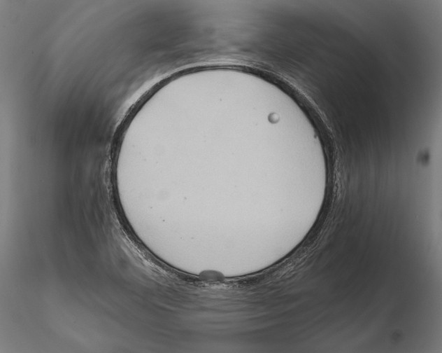 X0000115191460200912091059