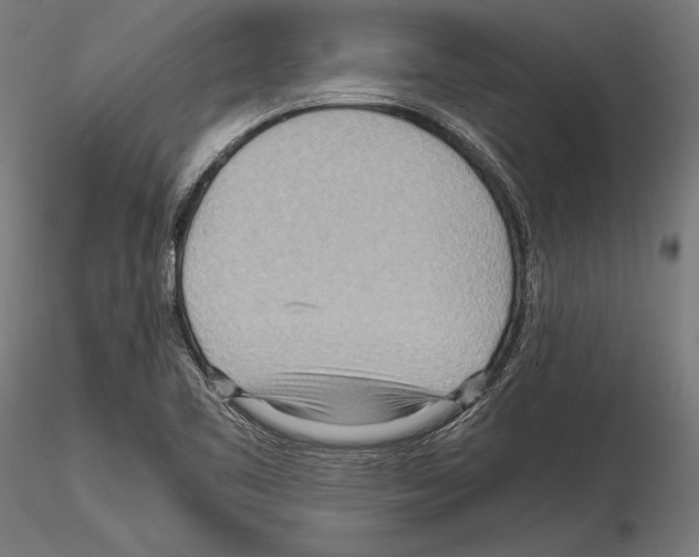 X0000115191461200912091059