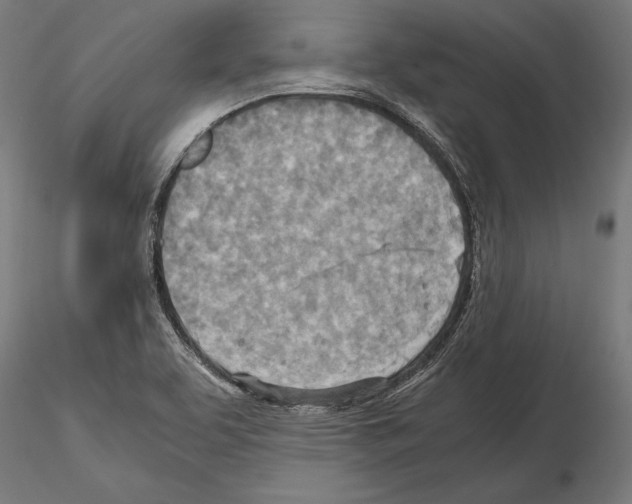 X0000115191463200912091059