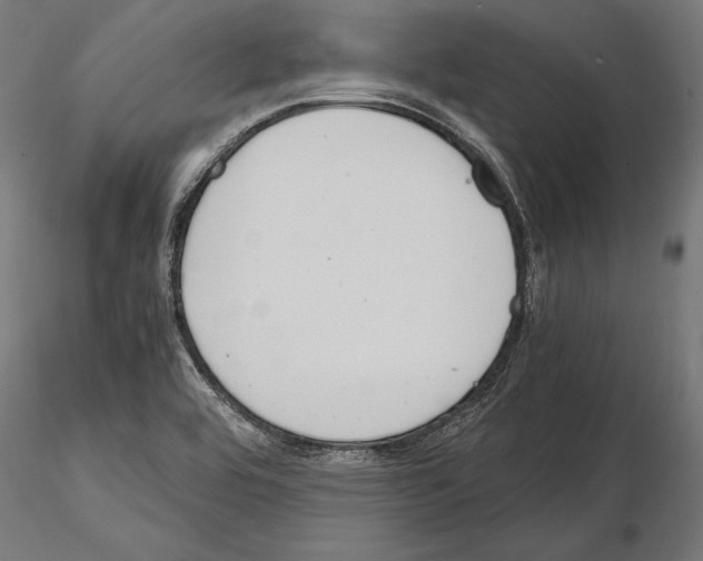 X0000115191464200912091059