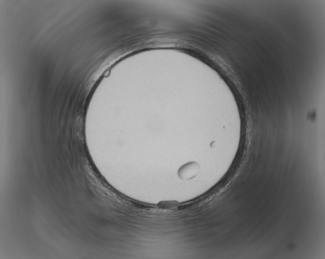 X0000115191465200912091059