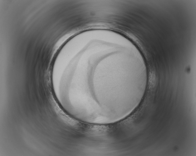 X0000115191466200912091059