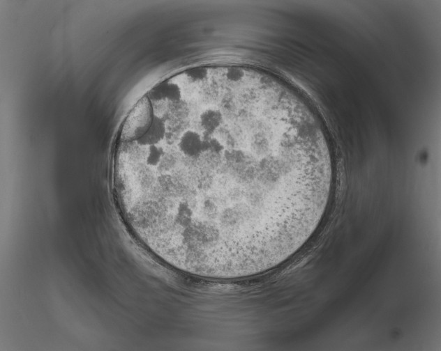 X0000115191467200912091059