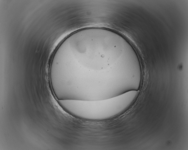 X0000115191468200912091059