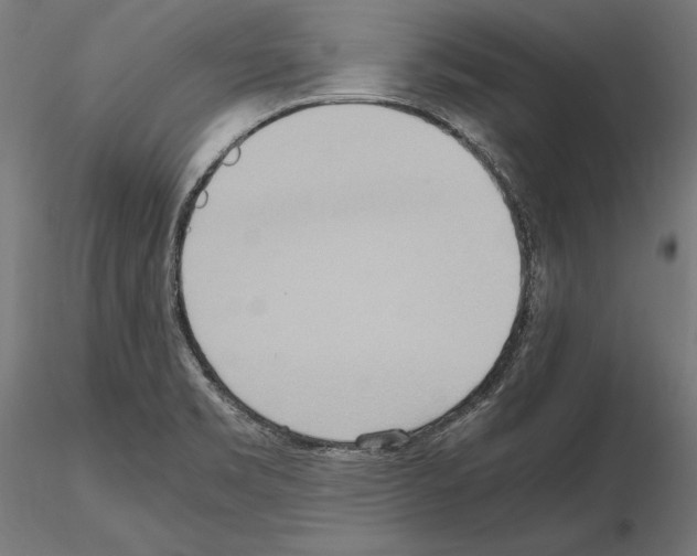 X0000115191469200912091059