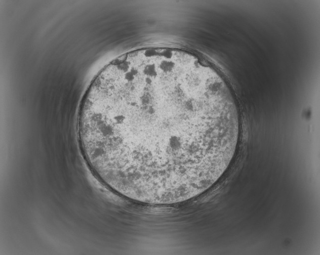 X0000115191471200912091059