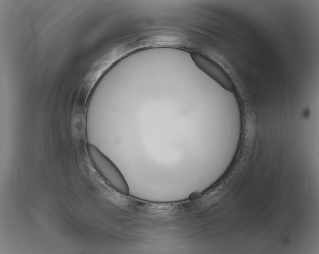 X0000115191473200912091059