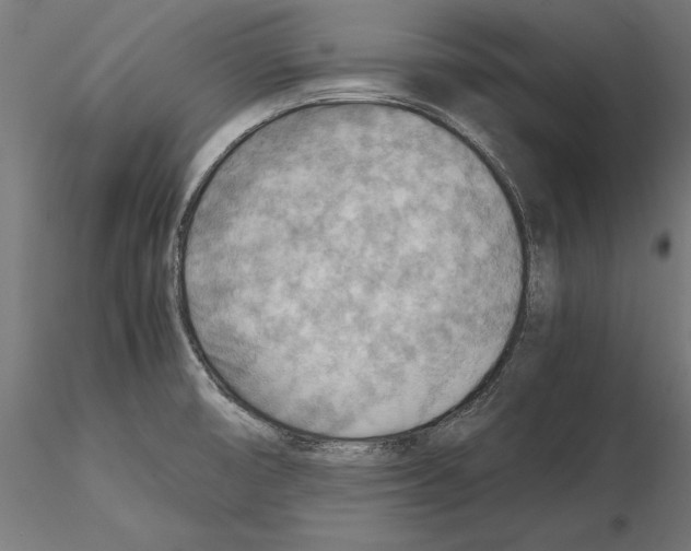 X0000115191474200912091059