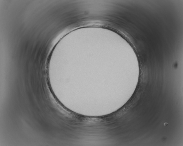 X0000115191475200912091059