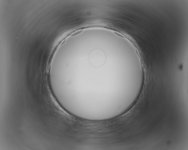 X0000115191477200912091059